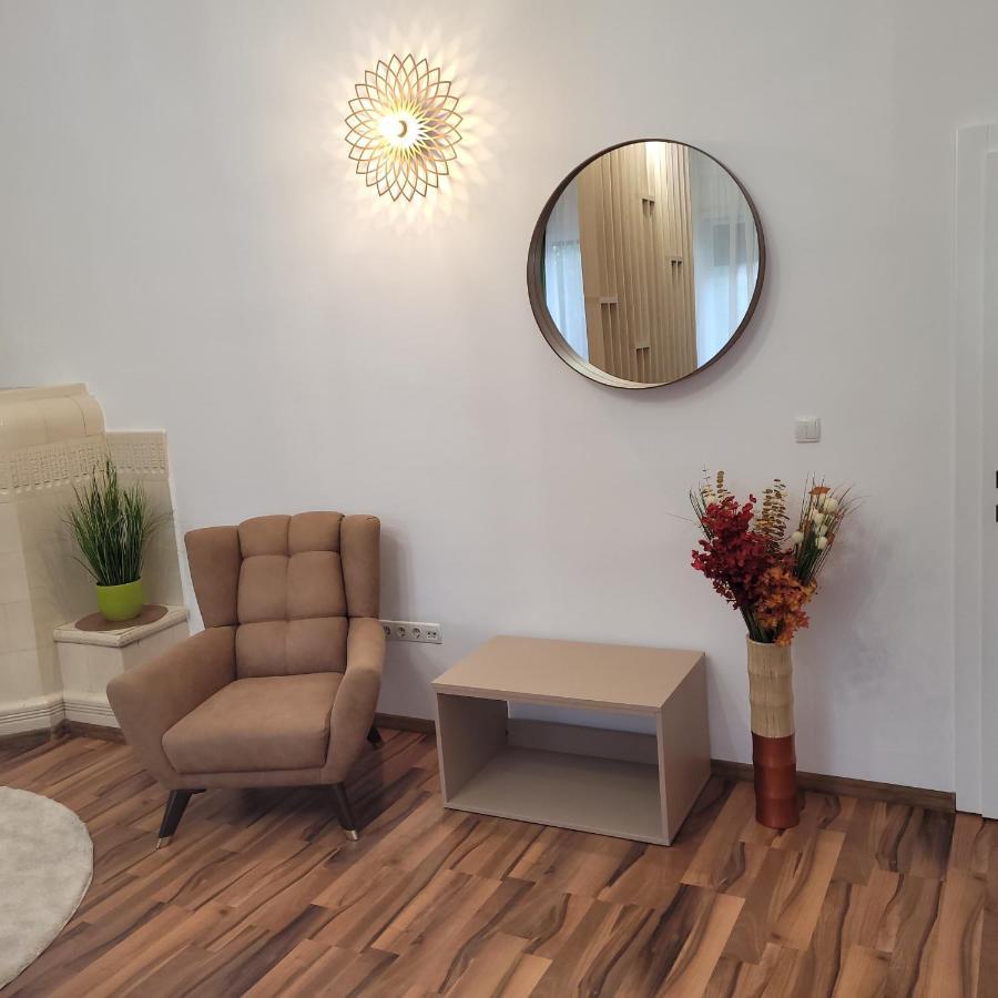 B8 - Spacious, Charming Apartment In Central Сибиу Екстериор снимка