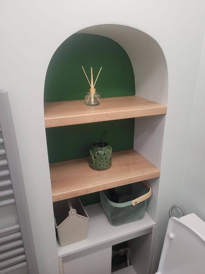 B8 - Spacious, Charming Apartment In Central Сибиу Екстериор снимка