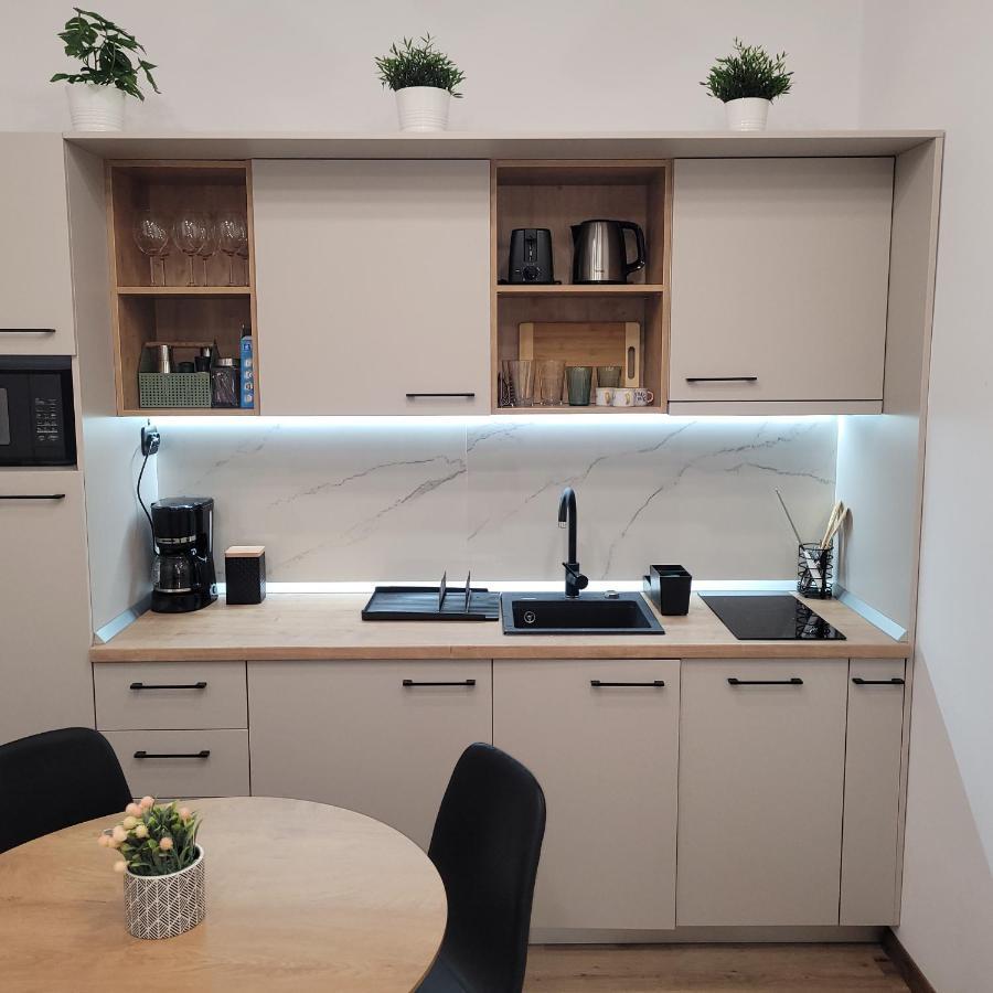 B8 - Spacious, Charming Apartment In Central Сибиу Екстериор снимка